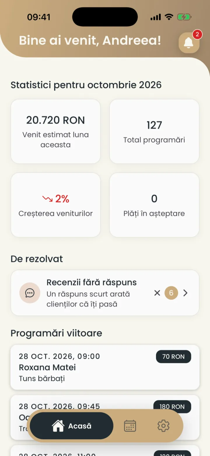 Home with the month's revenue, the number of appointments, reviews without a reply and upcoming appointments
