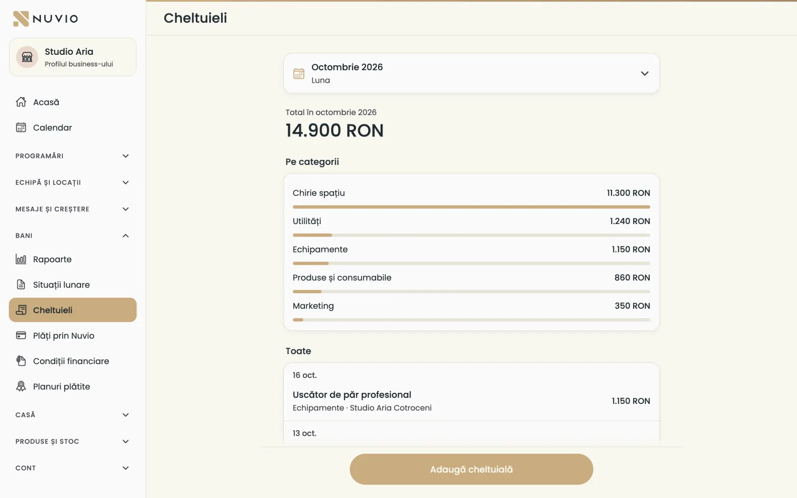 Cheltuielile lunii pe categorii și lista lor, cu locația și suma