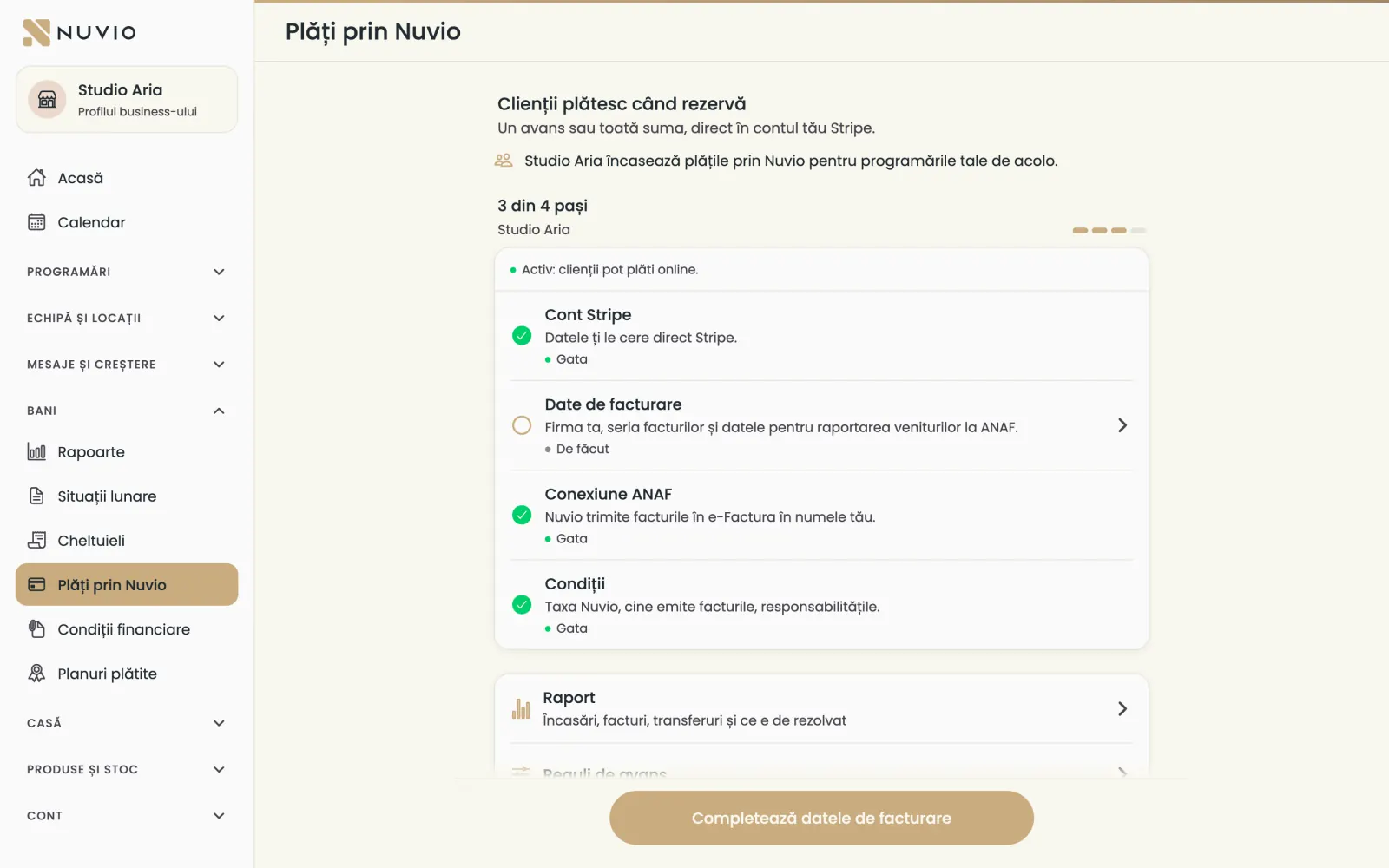 Plăți prin Nuvio pentru business: cei patru pași, regulile de avans și raportul