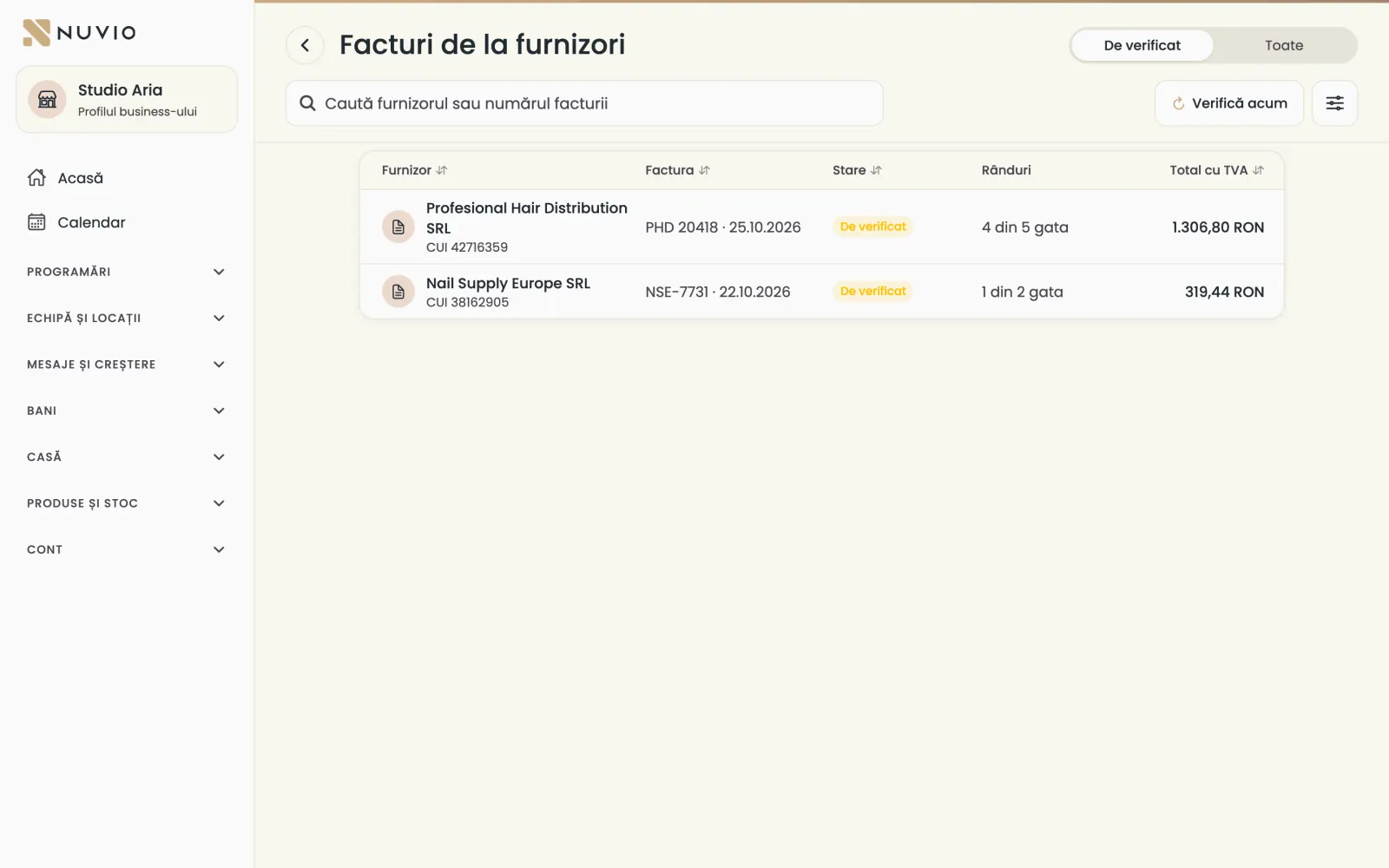 Facturile primite din SPV, de verificat, cu furnizorul, numărul, rândurile gata și totalul